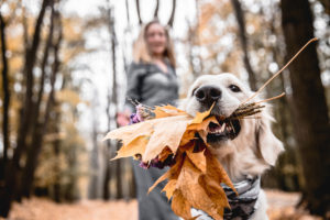 Dzień zwierzaka – 4 października Światowy Dzień Zwierząt 4 października Światowy Dzień Zwierząt – Z myślą o zdrowiu naszych czworonożnych przyjaciół